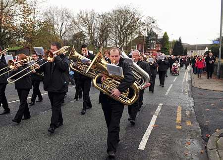 Armistice Parades 2010 Basses